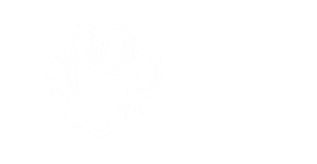 Mazurska Chatka Puchatka